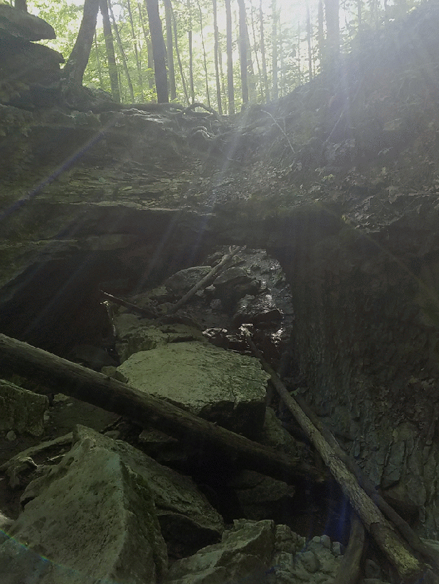 20160710_085556-ANIMATION