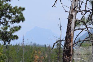 E232BC56-6C98-49FE-8199-9C84847D548C