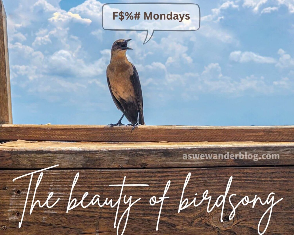 Monday Meme: The Beauty of&nbsp;Birdsong