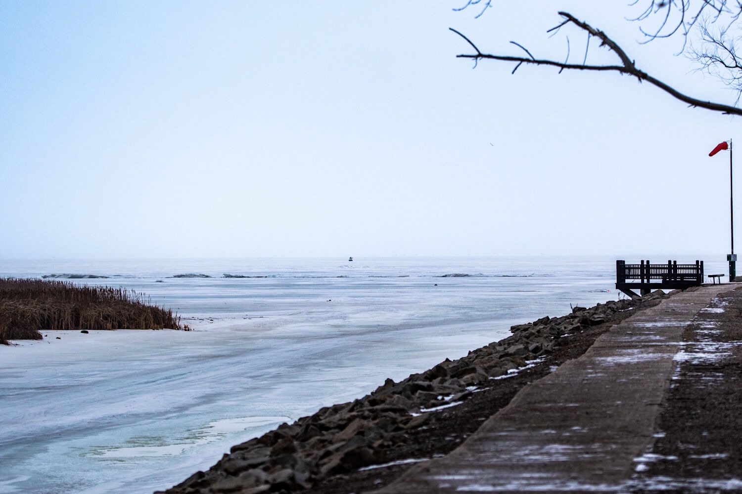 Surprises at Saginaw Bay