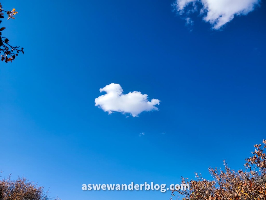 A cloud shaped like a rubber ducky drifts by