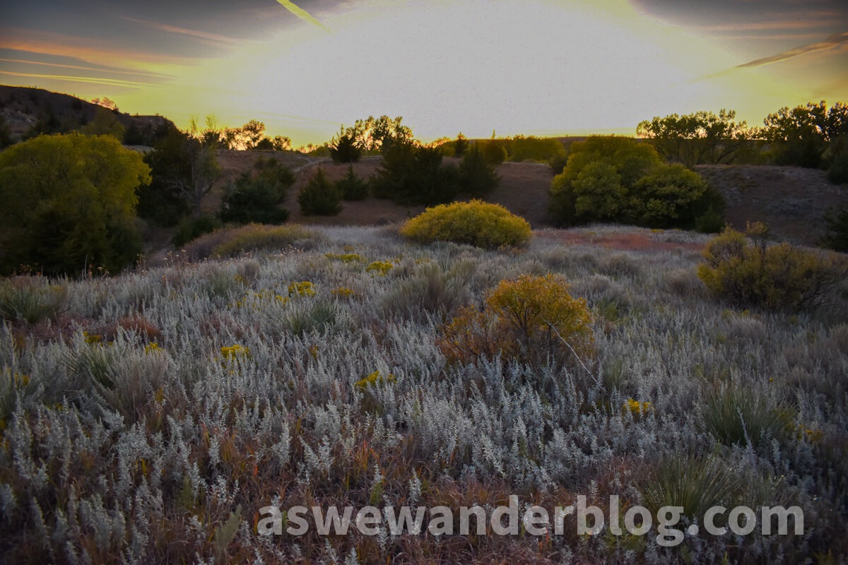 Expansive sunset over meadow