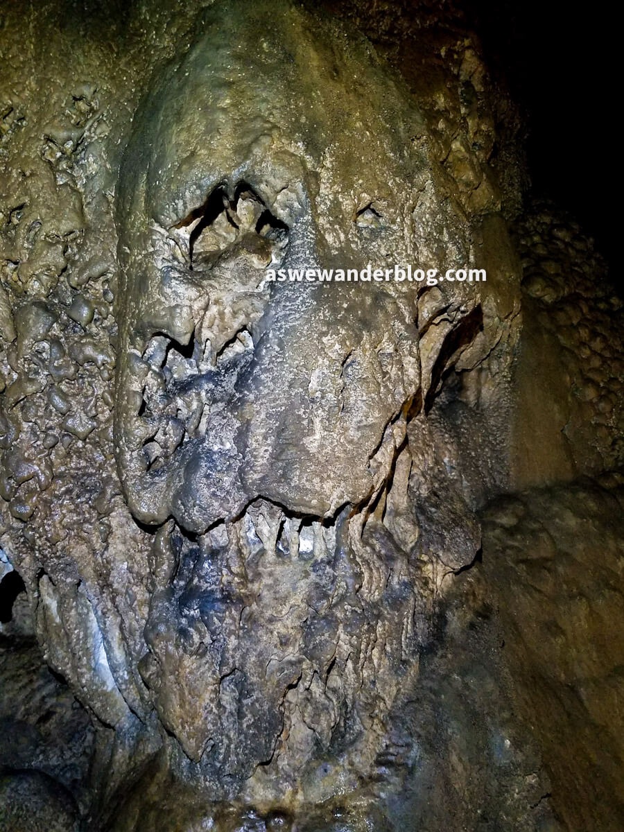 Rock that looks like skull