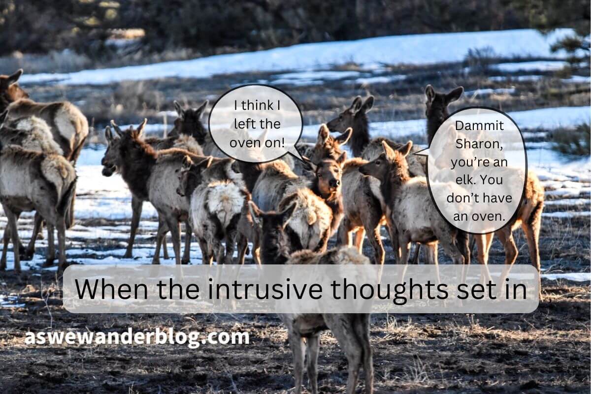 Monday Meme: Wrong-Way Elk